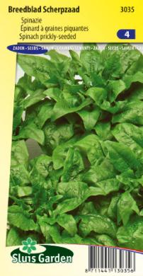 Spinach Prickly Seeded (Spinacia oleracea) 7000 seeds SL